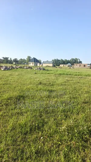 Plot for Sale Mwanza Kanyama