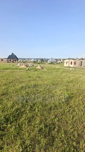 Plot for Sale Mwanza Kanyama