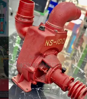 Royalty Ns Pump Model 100 4inches