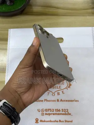 Apple iPhone 15 Pro Max 256 GB Silver