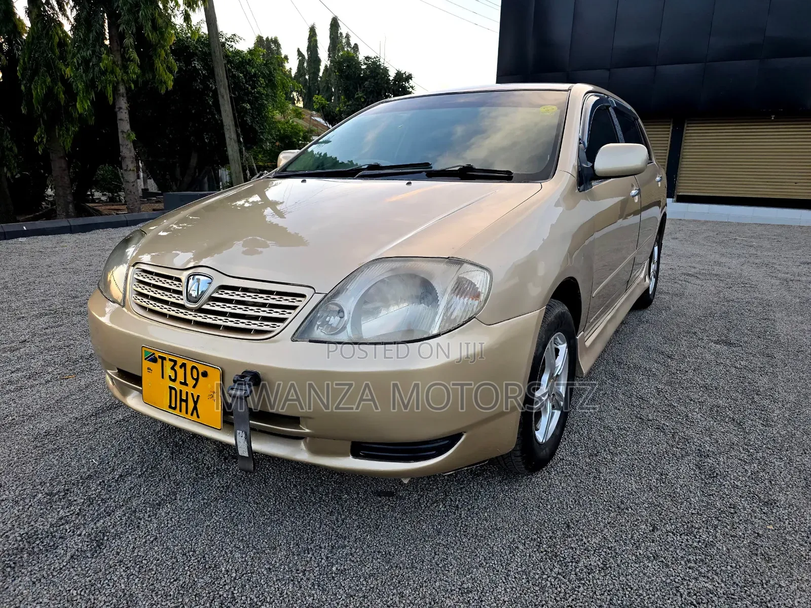 Toyota Corolla RunX 2004 Gold