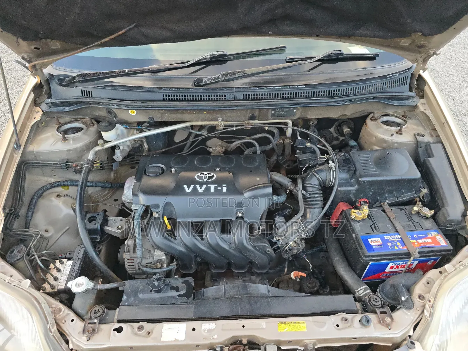 Toyota Corolla RunX 2004 Gold