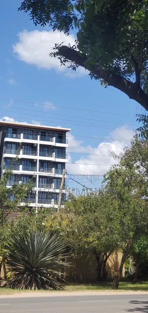 Furnished 3bdrm Apartment in Masaki for sale