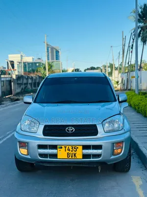 Toyota RAV4 2002 Silver