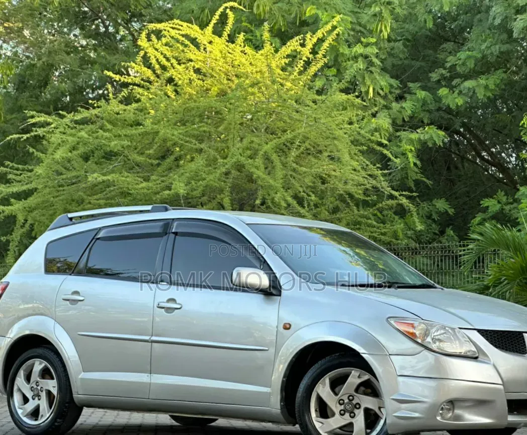 Toyota Voltz 2006 Silver