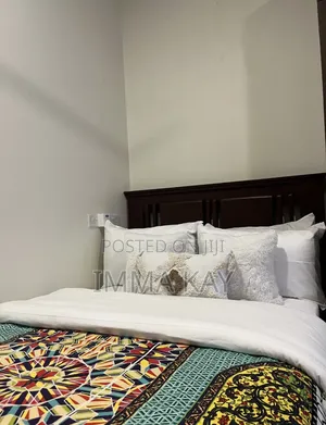 Furnished 1bdrm Apartment in Kawe Samia Nhc for rent