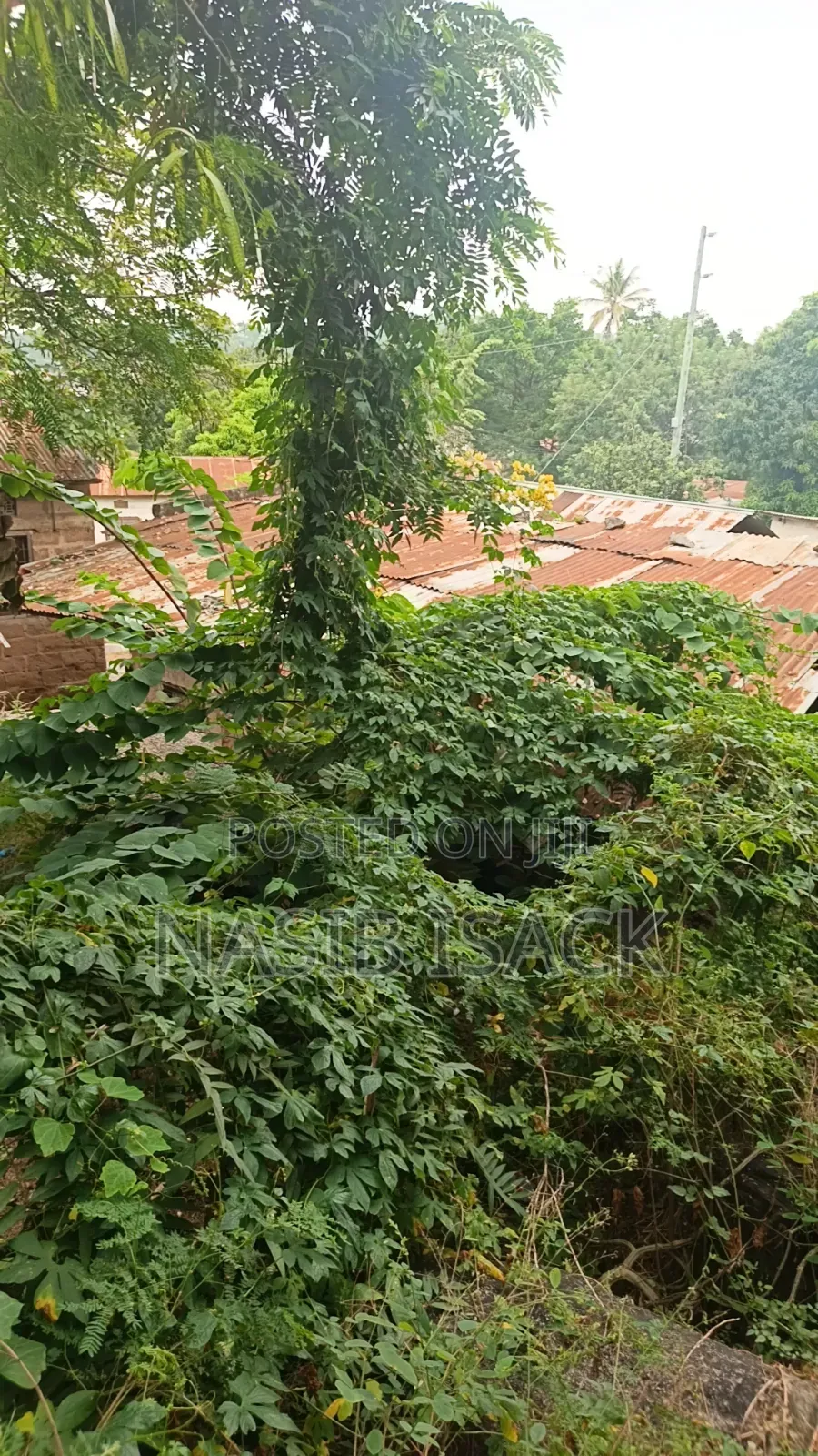 Plot for Sale Mwanza