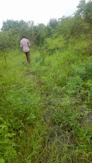 Industries Plot for Sale Miisugu Kibaha Acra