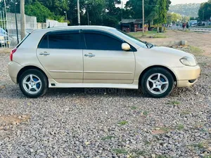 Toyota Allex 2003 Gold