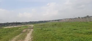 Industries Plot for Sale Acre 400 Loction Misugusugu