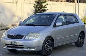 Toyota Corolla RunX 2001 Silver