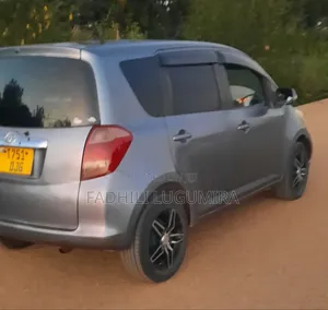 Toyota Ractis 2006 Gray