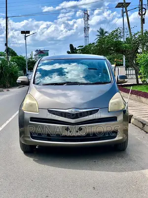 Toyota Ractis 2006 Gray