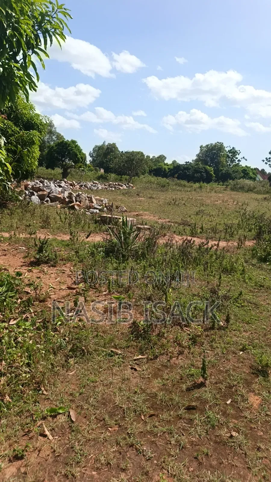 Plot for Sale Nyamhongoro