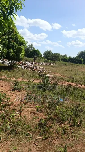 Plot for Sale Nyamhongoro