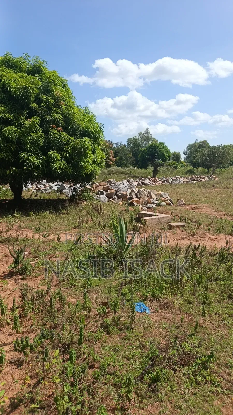 Plot for Sale Nyamhongoro