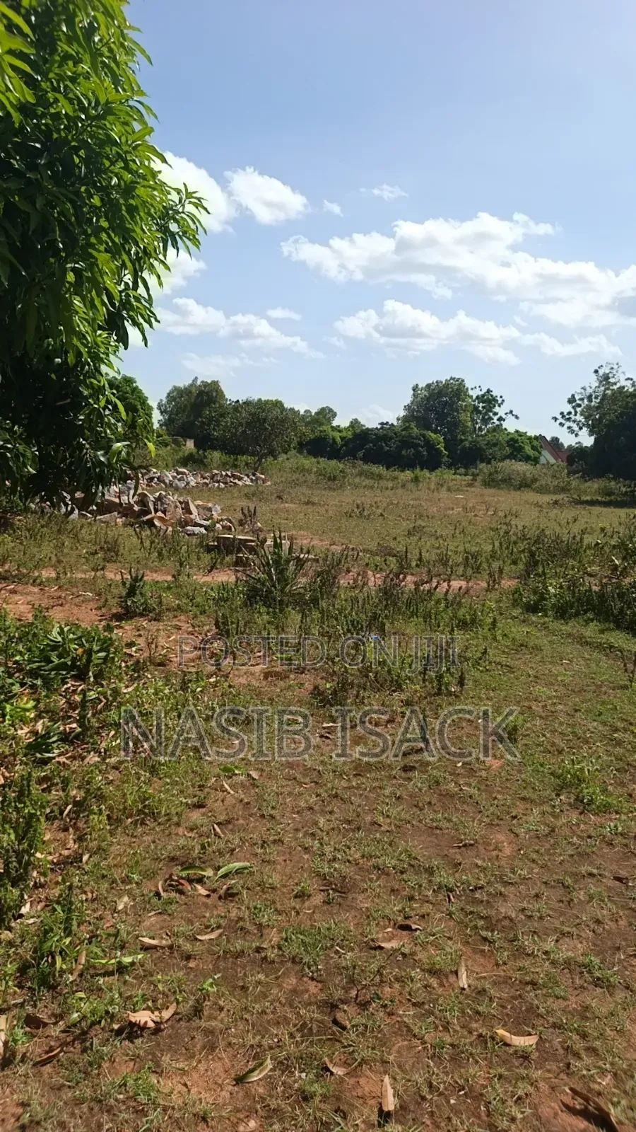Plot for Sale Nyamhongoro