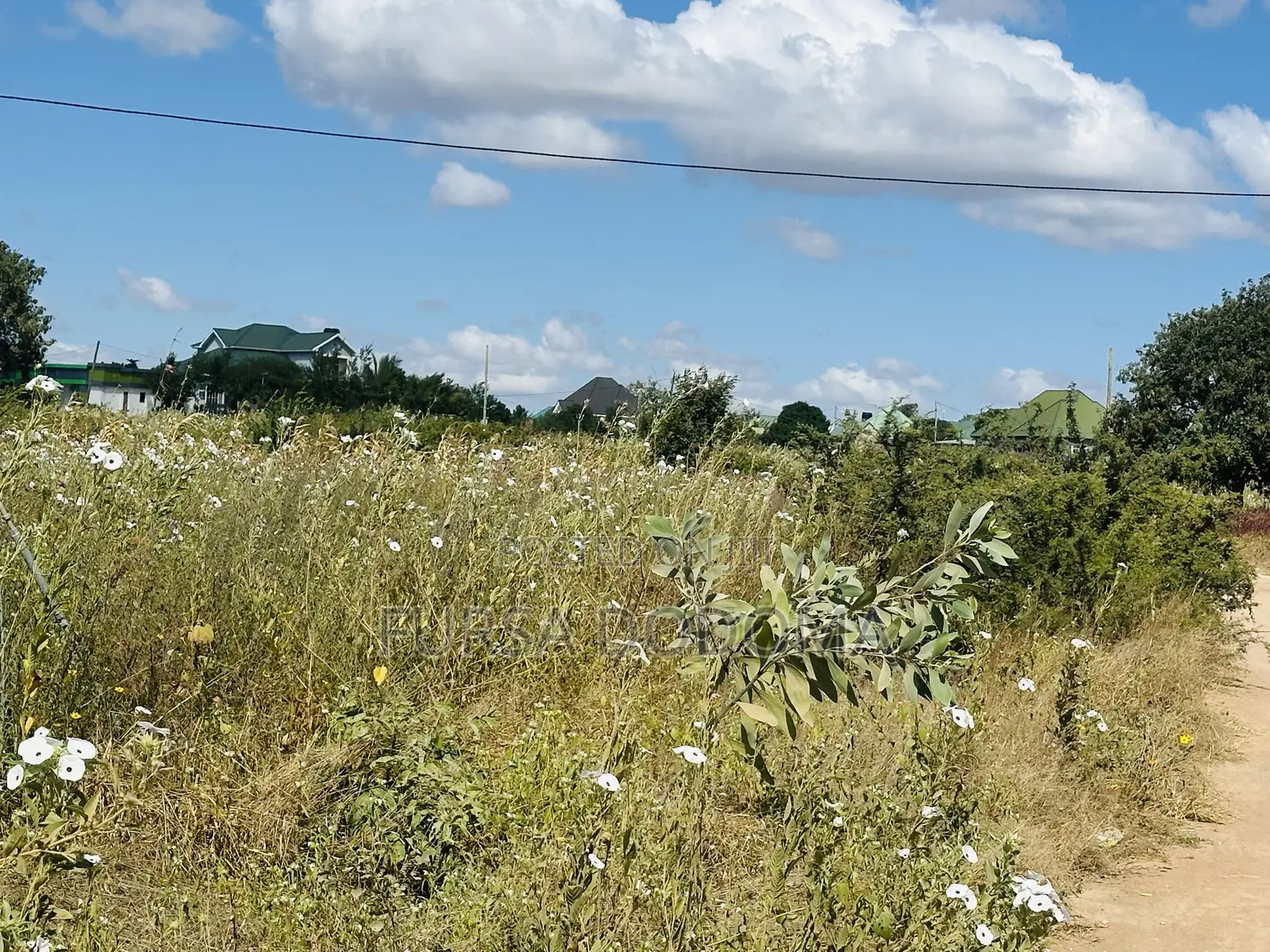 Kiwanja Kinauzwa Dodoma Mjini Ihumwa Elshadai