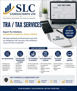 Professional Payroll Services For Companies In Tanzania