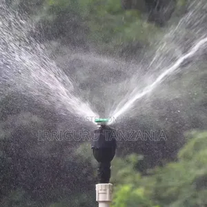 Egg Shaped Sprinkler