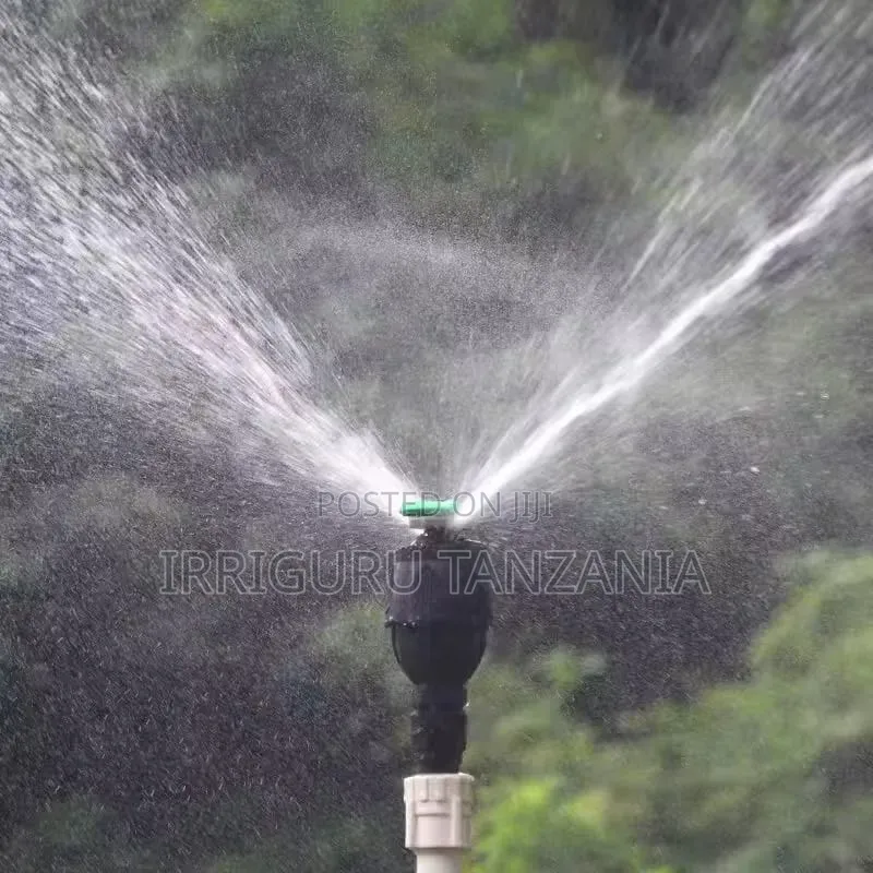 Egg Shaped Sprinkler