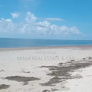 Beach Plot for Sale Ushingo Pangani Tanga