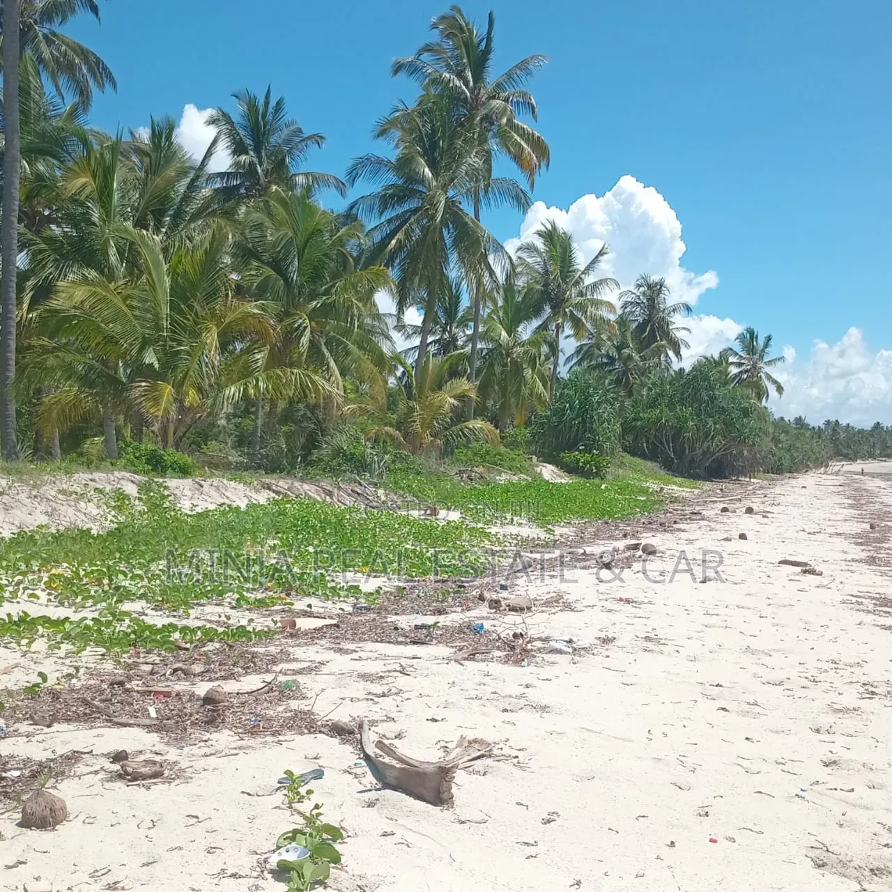 Beach Plot for Sale Ushingo Pangani Tanga