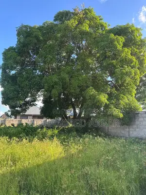 Plot for Sale Kibugumo, Kingamboni