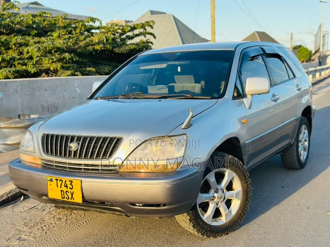 Toyota Harrier 2004 Silver