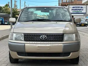 Toyota Probox 2011 Gold