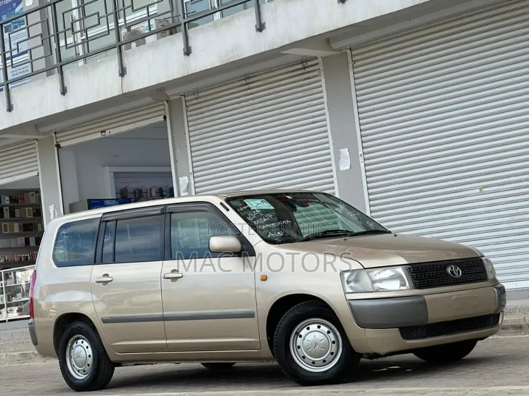 Toyota Probox 2011 Gold