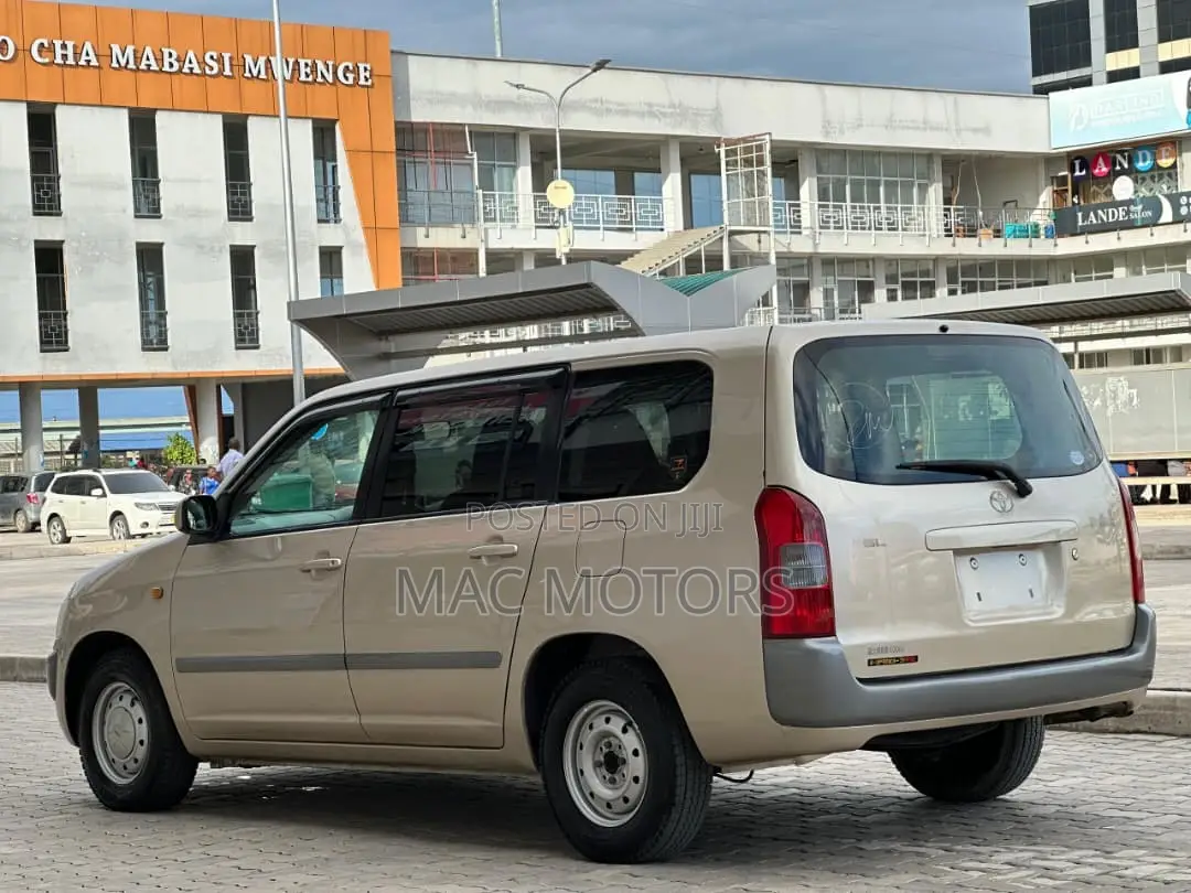 Toyota Probox 2011 Gold