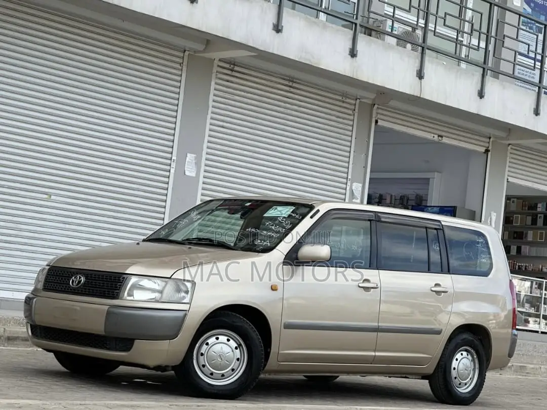 Toyota Probox 2011 Gold