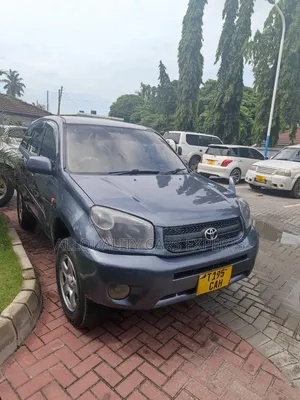 Toyota RAV4 2005 Gray