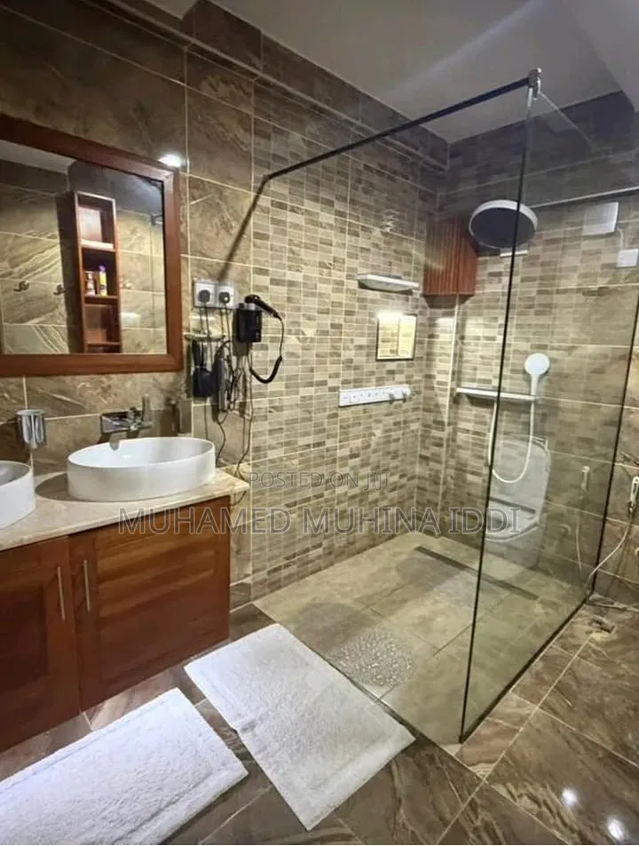 Furnished 3bdrm Apartment in Masaki for rent
