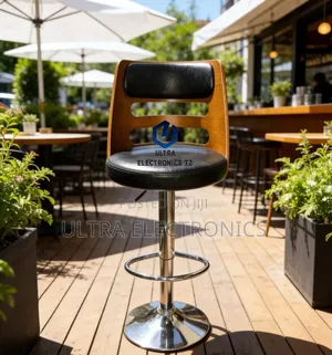 Modern Adjustable and Comfortable Bar Stool