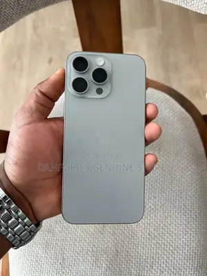 Apple iPhone 15 Pro Max 256 GB Gray