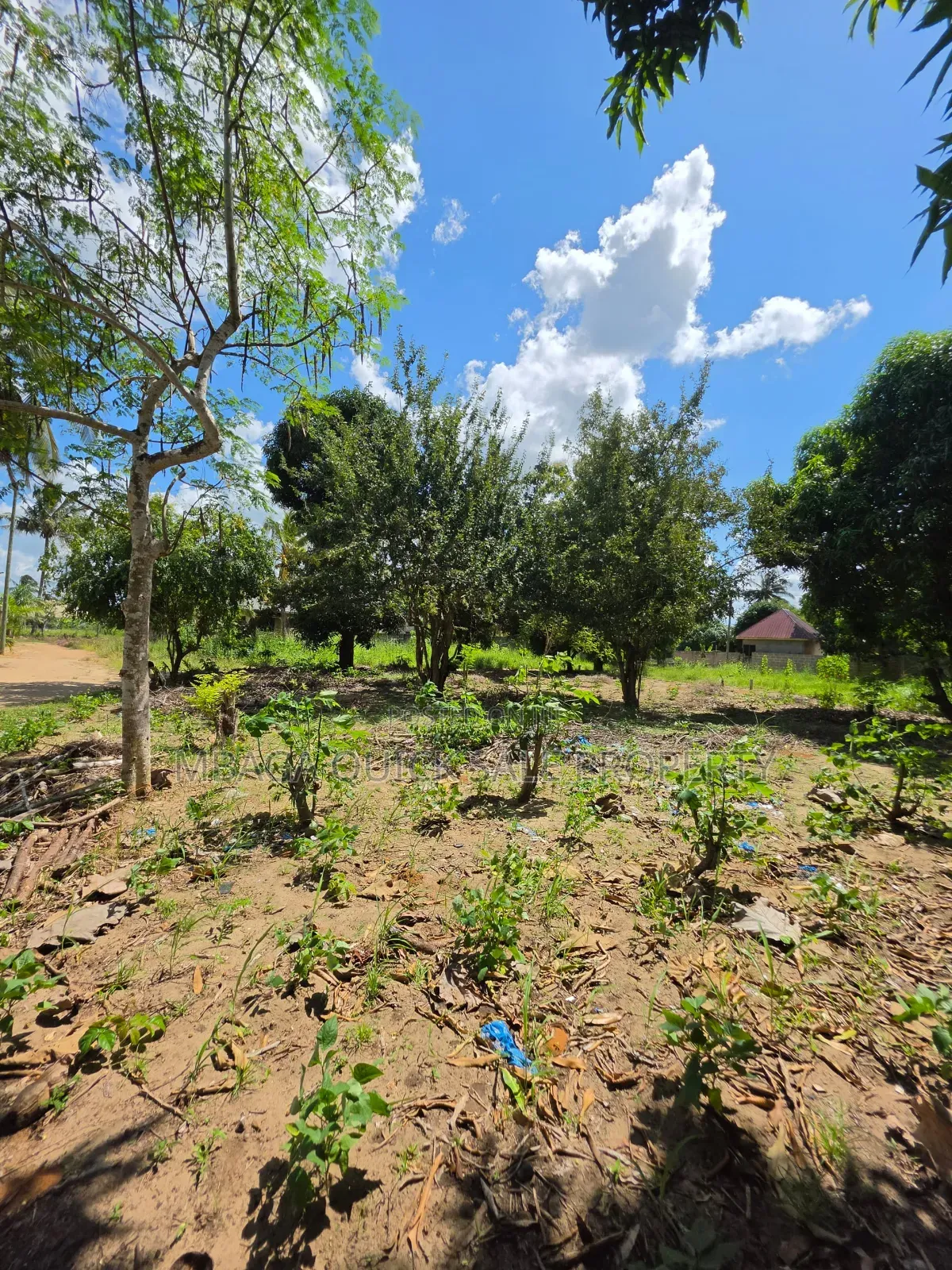 Plot for Sale at Madale Mbopo