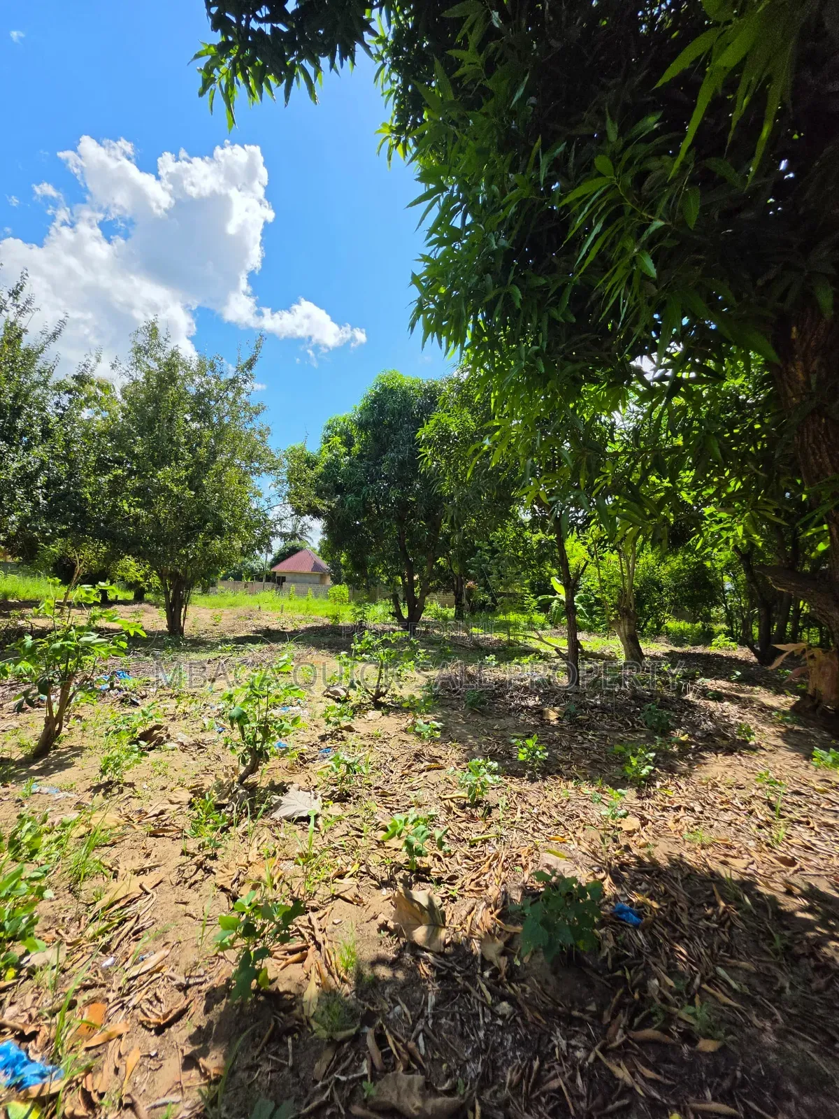 Plot for Sale at Madale Mbopo