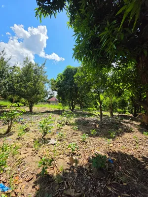 Plot for Sale at Madale Mbopo