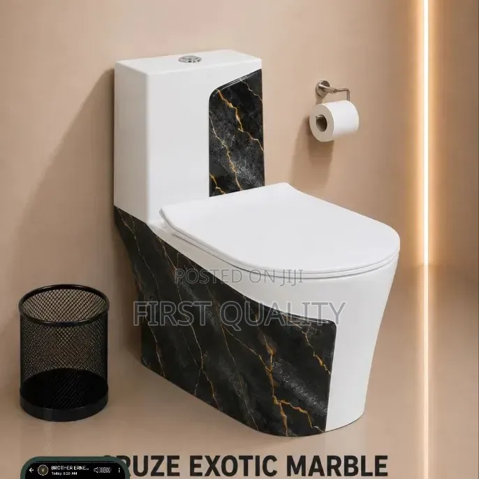 Sitting Toilet