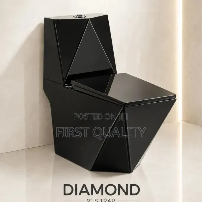Sitting Toilet Black