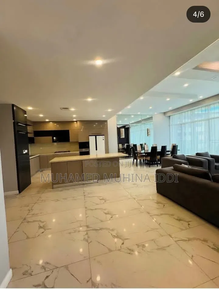 Furnished 4bdrm Apartment in Masaki for rent