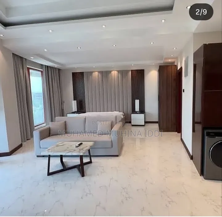 Furnished Studio Apartment in Apartment, Masaki for rent