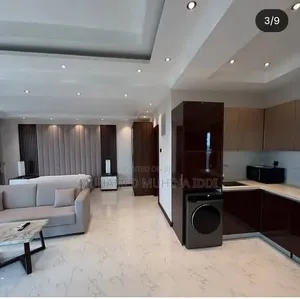 Furnished Studio Apartment in Apartment, Masaki for rent