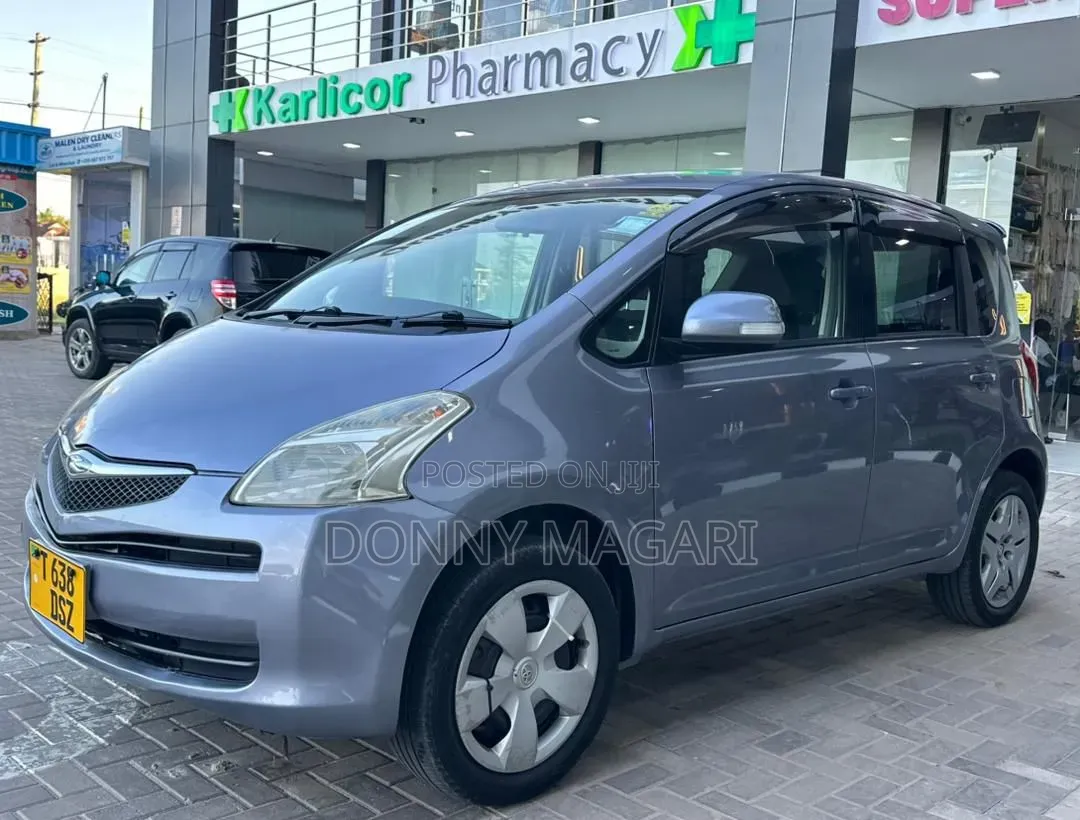 Toyota Ractis 2006 Gray