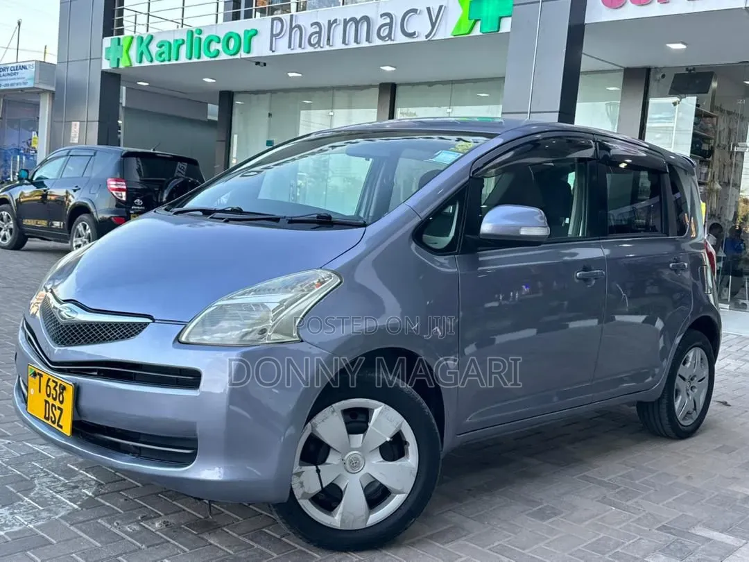 Toyota Ractis 2006 Gray