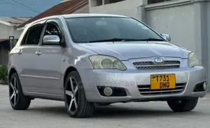 Toyota Allex 2006 Silver