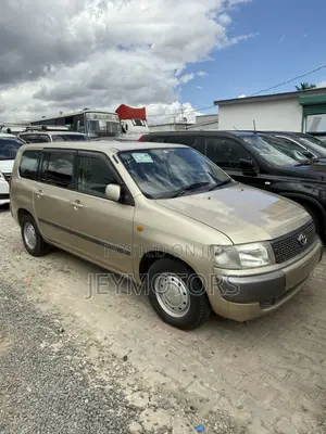Toyota Probox 2006 Gold