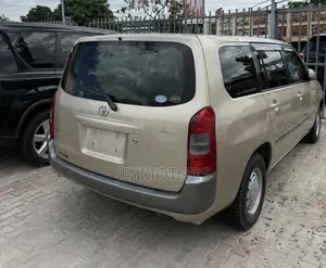 Toyota Probox 2006 Gold